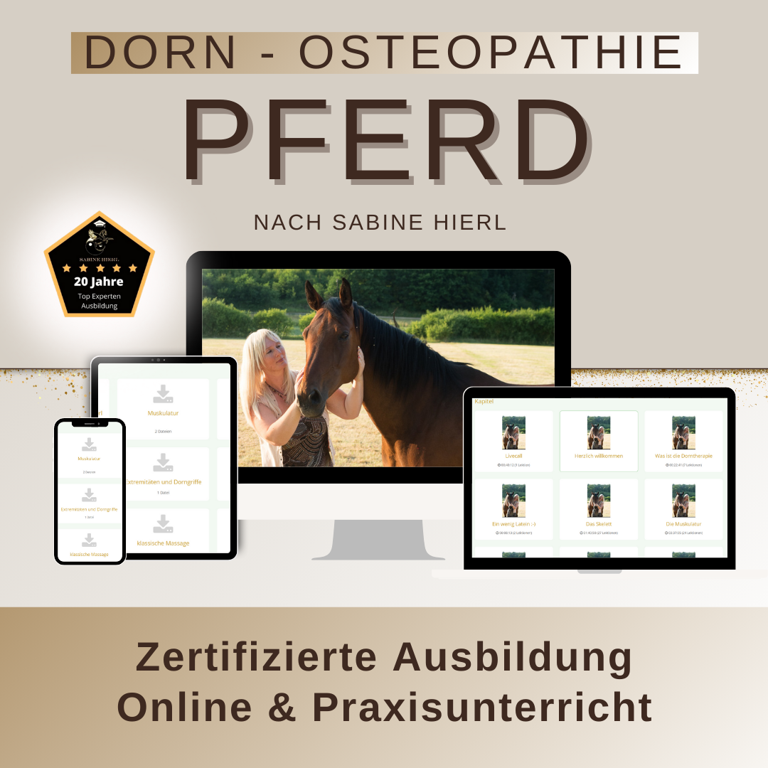 Dorn-Osteopathie Pferd. Bild über die Zertifizierte Ausbildung