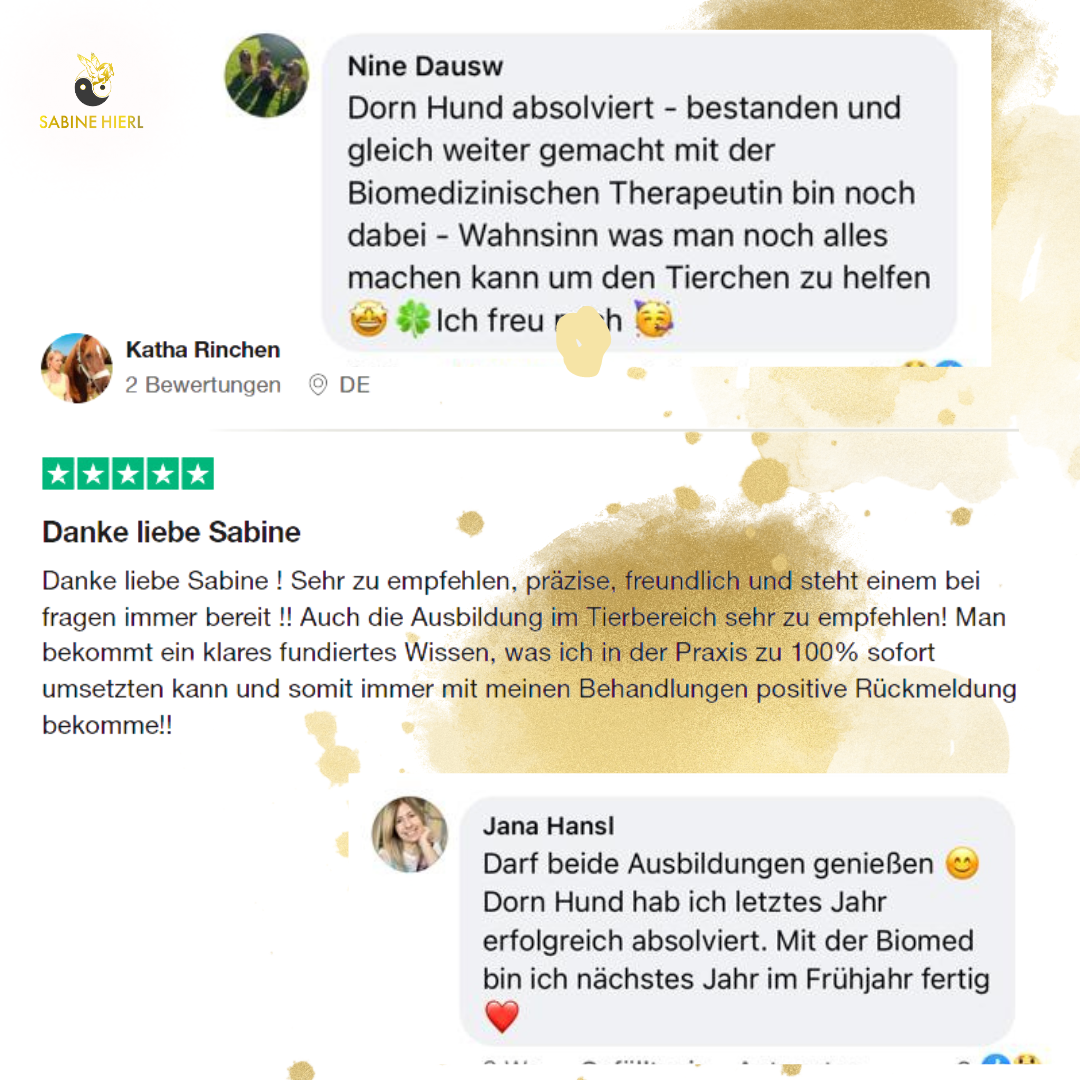 Bild von positiven Feedbacks ehemaliger Schüler